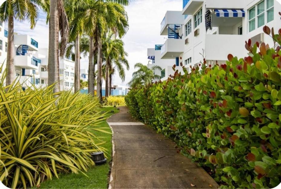 شقة Breezy Nights Puerto Rico Loiza المظهر الخارجي الصورة